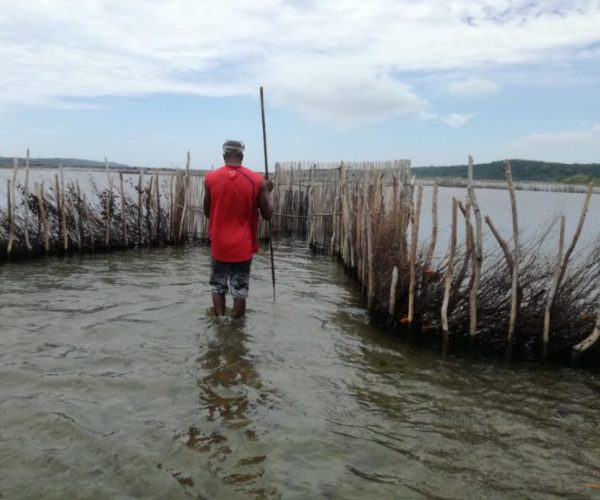 Cultural Fishkraal Tour 2